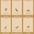 Juego de 6 tarjetas de felicitación vintage con ilustraciones botánicas y deseos - Serie de Plantas Retro / 6 piezas