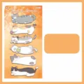 Autocollants d'index chat d'automne, 180 pièces pour agendas, journaux et notes - Automne du Chaton (180 Feuilles)
