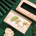 Elegant gold-plated ginkgo leaf metal bookmark presented in a pink gift box for students - Golden Ginkgo - Boxed Set