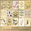 Set of 30 vintage biological illustration stickers for scrapbooking, 17x12cm - Insect Diary