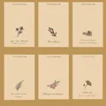 Set von Mini-Grußkarten im Vintage-Stil mit verschiedenen botanischen Illustrationen für Geschenke - Retro-Pflanzen