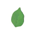 Realistische groene zelfklevende memo's in bladvorm voor decoratie en creatieve notities - Groen Blad (Zonder Onderkaart) / 30 Vellen/Verpakking