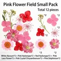 Pink dried flower kit for DIY resin bookmarks and botanical crafts, 12 pieces - Pink Flower Field