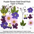 Purple pressed flower collection with 12 pieces for DIY resin crafts and scrapbooking - Purple Flower Field