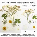 12pcs white dried pressed flower pack for DIY bookmarks and botanical art - White Flower Field