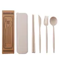 Eco-friendly wheat straw cutlery set including knife fork spoon chopsticks and case - With Outer Paper Box / Beige