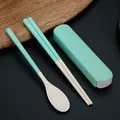 Milieuvriendelijke serviesset van tarwestro met lepel, eetstokjes en doosje in mintgroen - Eetstokjes Lepel Set / Noors Groen