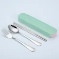 Portable stainless steel cutlery set with a mint green storage case for outdoor travel - Style 1010 / 3-Piece Set (Nordic Green Box)