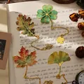 Elegant leaf-shaped metal bookmarks with watercolor enamel and gold chain detail. - Set of 4 / Maple And Clover And Oak And Ginkgo
