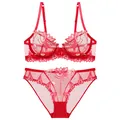 Detailed view of red ultra-thin lace lingerie set with elegant floral embroidery. - 70B / Top And Bottom / Red