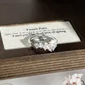 Nahaufnahme eines eleganten verstellbaren Silberrings im französischen Stil mit Zirkon-Cluster - Stil Nr. 5 Offener Ring (135988825) / Silber