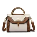 Elegant white and brown color-block crossbody bag with woven details and gold handle. - Light Gray