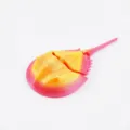 Articulated 3D printed horseshoe crab fidget toy in vibrant pink and yellow gradient finish - Horseshoe Crab (Nebula Sunrise)