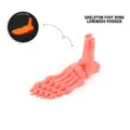 Luminous 3D printed pink skeleton foot bone model for spooky Halloween home decor prop. - Mini / Foot Bone / Luminous Red