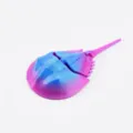 Articulated 3D printed horseshoe crab toy with nebula blue and purple gradient finish - Horseshoe Crab (Nebula Sunset)