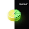 Luminous yellow fruit fidget coin with 3D printed lemon slice design for stress relief - Luminous Lemon