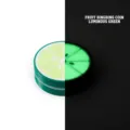 Luminous lime slice 3D printed fidget coin stress relief toy with glowing green effect - Luminous Lime