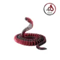 Vista macro detallada de las articulaciones móviles impresas en 3D en cobra roja - Negro Oscuro Rojo