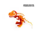 Statuetta articolata di scheletro di dinosauro Tyrannosaurus Rex colorata in 3D - Scheletro di Dinosauro Multicolore (Tyrannosaurus Rex)
