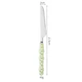 Pearl glaze ceramic handle stainless steel steak knife in light green mint color 21.5cm - 410 Dinner Knife / Pearl Green
