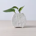 Minimalist white textured ceramic planter pot for succulents or hydroponic plants - Calm (Round Style)