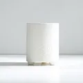 Modern minimalist white ceramic succulent flower pot featuring embossed rose patterns - Solid (Embossed Floral Style)