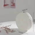 Minimalist white textured round ceramic vase, 16.6cm size for elegant home decoration - Double Round (FY0321) / White