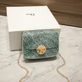 Elegante piccola borsa quadrata con stampa zebra menta e tracolla a catena dorata - Blu