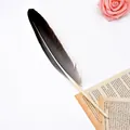 Detail view of an elegant black feather ballpoint pen resting on vintage book pages. - Original Color