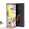 Close-up of yellow feather dipping pen set with five nibs and ink in black box - 1 Pen + 1 Ink + 5 Nibs / Yellow