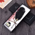 Vintage Straußenfeder-Schreibset im britischen Stil mit Tinte und eleganter schwarzer Box - Flamingo Schwarz