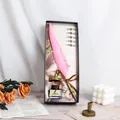 Vintage pink feather quill pen gift set with ink bottle and nibs for calligraphy - Feather Pen Gift Set (004) / Light Pink