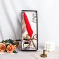 Vintage red feather quill pen set with ink and nibs in an elegant rectangular gift box - Feather Pen Gift Set (004) / Red