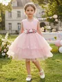 Full view of pink multi-layer mesh princess dress featuring delicate daisy embroidery details - 8-9 Years / Dresses / Pink (Flower Belt)