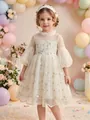 Elegant flower girl mesh dress with vine embroidery for wedding parties and celebrations - 4-5Y / Dresses