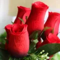 Detailed close-up of artificial silk red roses with 'I Love You' embossed petals - Red
