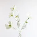 Vista dettagliata di eleganti fiori di cosmo artificiali bianchi con steli realistici - Bianco