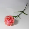 Primer plano detallado de un clavel artificial rosa con tallo y hojas verdes - Rosa