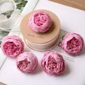 Detailweergave van kunstmatige roze zijden pioenrozen voor DIY haaraccessoires. - 5 Stuks / Roze