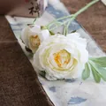 Exquisite macro detail of ivory white silk peony petals with realistic yellow stamens - White