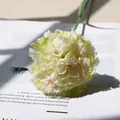 Single artificial silk carnation flower in pale yellow with pink edges on magazine background - Green Flower Head