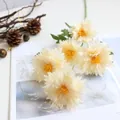 Close-up detail of cream white artificial chrysanthemums with delicate petals - Champagne