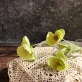 Primer plano de amapolas de Islandia de seda verde claro con pétalos y tallos realistas - Amapola de 4 cabezas / Verde