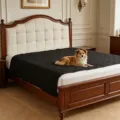 Professional waterproof black quilted pet bed mat protector for mattress and sofa - 75x127cm / Black
