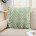 Modern light green corduroy textured throw pillow cover for home sofa decoration - 45x45cm (No Insert) / Bean Green