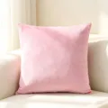 Soft solid pink velvet cushion cover for sofa decoration in minimalist Nordic style - 40*40cm (Cushion Cover Only) / Light Pink
