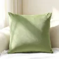 Premium soft sage green velvet square throw pillow cover for minimalist home sofa decor - 40*40cm (Cushion Cover Only) / Grass Green
