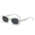 Lunettes de soleil ovales blanches tendance pour femmes avec verres foncés pour la mode - Monture Blanche Verres Gris Foncé
