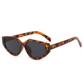 Stylish irregular tortoiseshell sunglasses for women featuring dark gray lenses and chic frame - Tortoise Frame Grey Lens