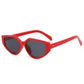 Modieuze onregelmatige polygoon zonnebril met opvallend zuurstokrood montuur en glazen - Rood Frame Zwart Grijze Lens